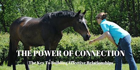 The Power of Connection: The Key To Building Effective Relationships primary image