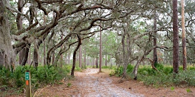 Imagem principal de Split Oak Spring Bioblitz - Morning Hike