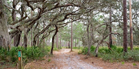 Image principale de Split Oak Spring Bioblitz - Morning Hike