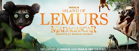 Island of Lemurs: Madagascar with Guest Speaker Dr. Lisa Gould. primary image