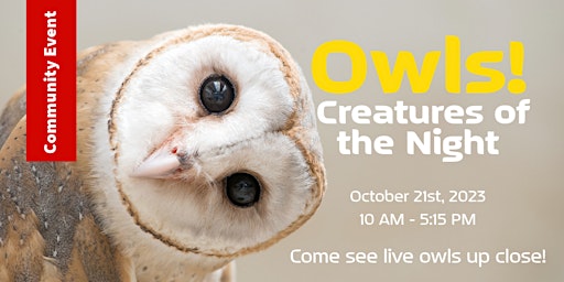 Imagem principal do evento Owls: Creatures of the night