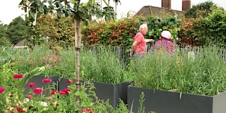 Guided Tour of University of Greenwich Roof Garden and Living Walls primary image