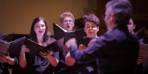 Hauptbild für Jesu, meine Freude:  Motets by Bach and Bruckner