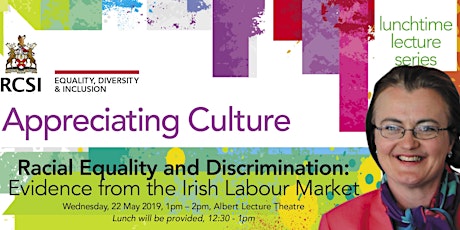 Lecture Series - Exploring the Experiences of Ethnic Minorities in Ireland.