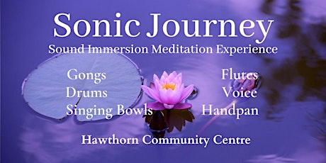 33% Sold - Sonic Journey - Sound Bath Immersion Experience
