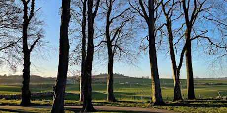 07 311 Ancient Woodland and a bog-standard treasure: Den of Alyth primary image