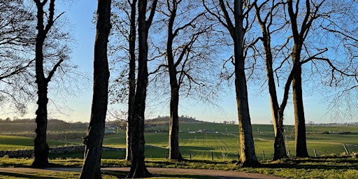 Imagem principal do evento 07 311 Ancient Woodland and a bog-standard treasure: Den of Alyth