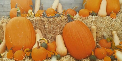 DIY Pumpkin Decorating!  primärbild