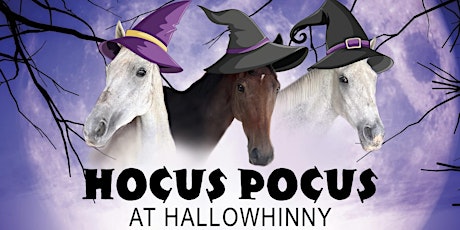 Hocus Pocus at Hallowhinny primary image