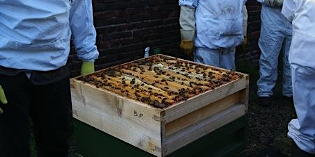 Primaire afbeelding van Beekeeping taster session