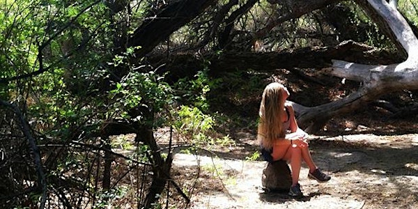 Forest Bathing in Sacramento on Memorial Day Weekend