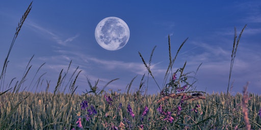 Immagine principale di Full Moon Experience with Mindfulness and Meditation 