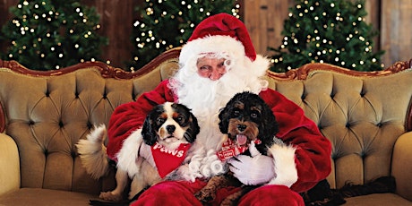 RSPCA Santa Paws - Mackay - 2023 (SOLD OUT) primary image