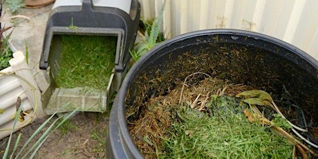 Online - Worm farming and composting - December 2023 primary image
