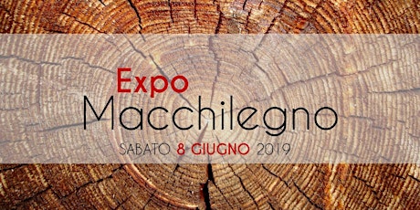 Immagine principale di Expo MACCHILEGNO 