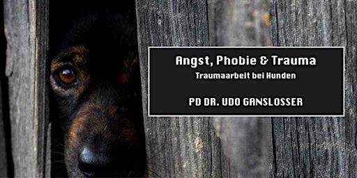 Angst, Phobie & Trauma bei Hunden (PD Dr. Udo Gansloßer)  primärbild