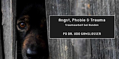 Imagen principal de Angst, Phobie & Trauma bei Hunden (PD Dr. Udo Gansloßer)