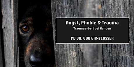 Angst, Phobie & Trauma bei Hunden (PD Dr. Udo Gansloßer) primary image