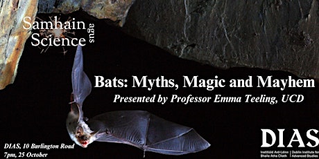 Hauptbild für Bats: Myths, Magic and Mayhem