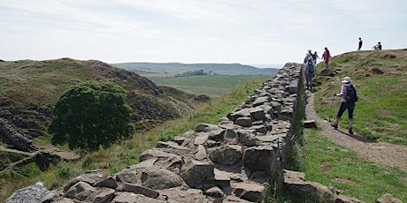 Hadrian's Wall and Vindolanda Tour with Bellingham Campsite primary image