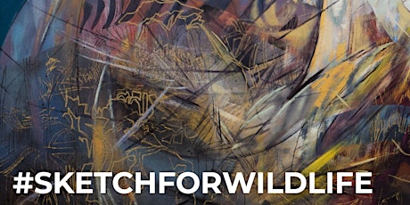 DSWF Sketch for Wildlife - Meet the Artists workshop primary image