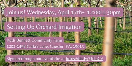 Setting Up Orchard Irrigation