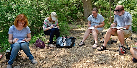 Wilket Creek Ravine Sketching Tour 7 primary image