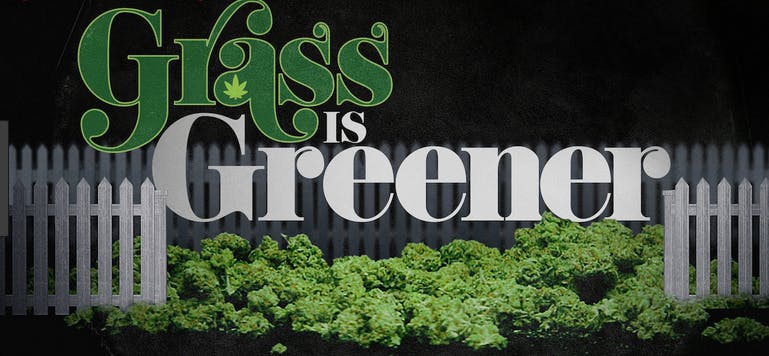 Grass Is Greener Screening & Community Conversation About Legalization In Rochester