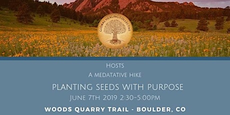 Meditative Hike: Planting Seeds with Purpose primary image