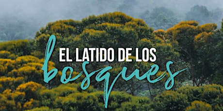 El latido de los bosques: el presente y futuro de los bosques en Colombia