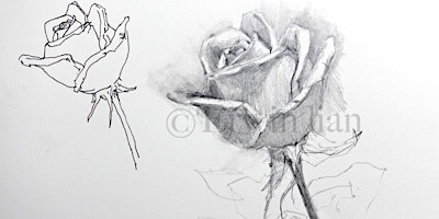 Pencil Sketching Course (Intermediate) by Erwin Lian – NT20240106PSCI