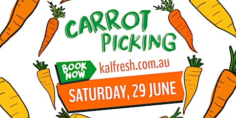 SOLD OUT - Kalfresh Carrot Field Day CARROT PICKING ONLY primary image