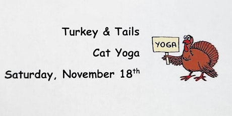 Turkey & Tails Cat Yoga primary image