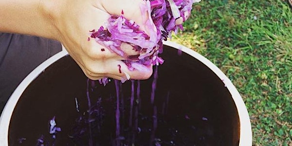 Intro to Veggie Fermentation