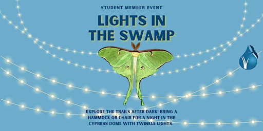 Imagen principal de Student Members Only: Lights in the Swamp