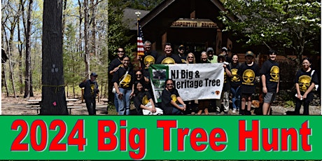 Imagem principal do evento 2024 Big Tree Hunt