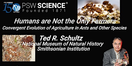 The Convergent Evolution of Agriculture in Ants and Humans primary image