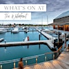 Logótipo de The Waterfront, Shell Cove
