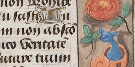 Medieval and early modern marginalia  primary image