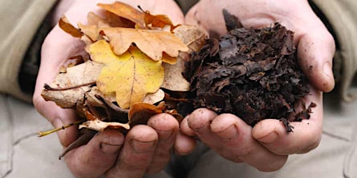 Ask the experts: Healthy Soil & Composting primary image