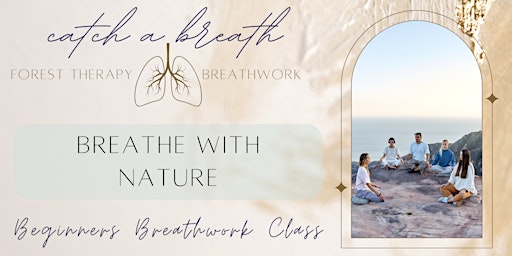 Breathe In Nature: Beginners Breathwork Class primary image