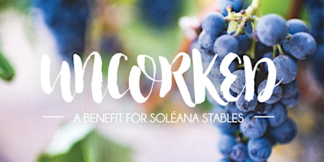 Uncorked - A Benefit for SoléAna Stables primary image