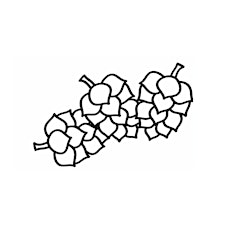 Organizer profile image