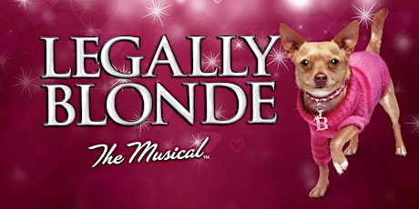 Millfield Performing Arts - Legally Blonde The Musical primary image