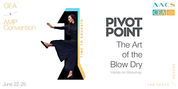 Pivot Point: The Art of the Blow Dry Hands-on Workshop (session 2)