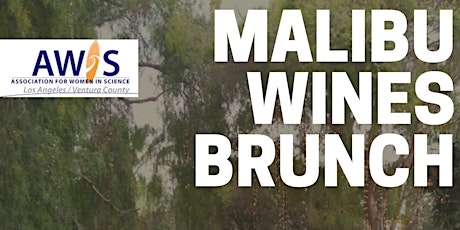 AWIS Malibu Wines Bunch primary image