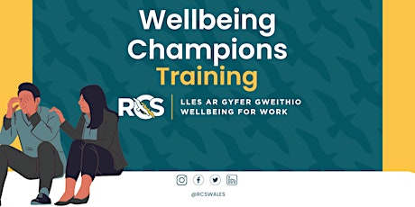 Primaire afbeelding van Wellbeing Champions Training