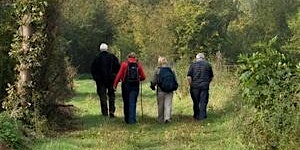 Guided walk: Spring Birds primary image