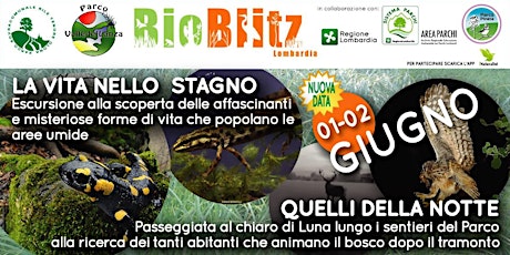 Immagine principale di Bioblitz - Quelli della notte 