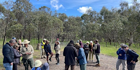 Nature Discovery Walk at Cherry St. Reserve primary image